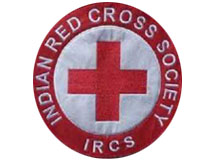 Logo 11