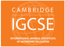 Logo 4